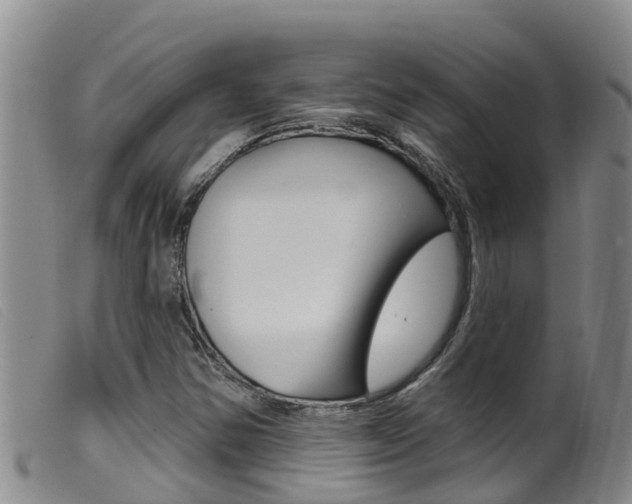 X0000099961354200805231016