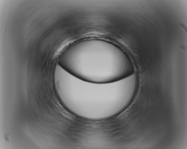 X0000099961355200805231016