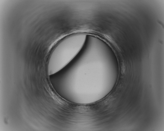 X0000099961356200805231016