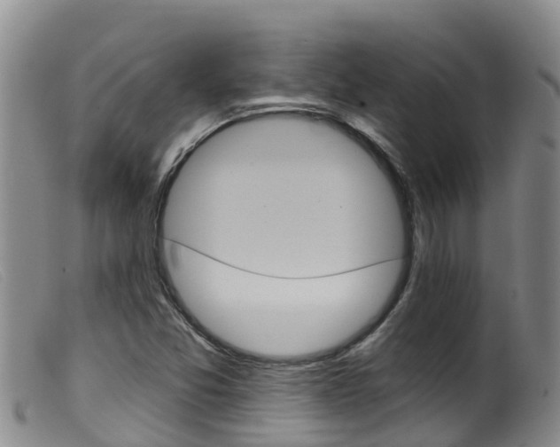 X0000099961357200805231016