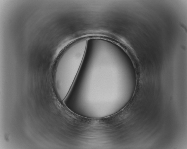 X0000099961360200805231016