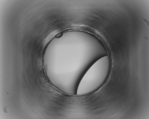 X0000099961362200805231016