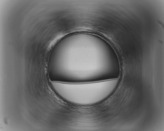 X0000099961363200805231016