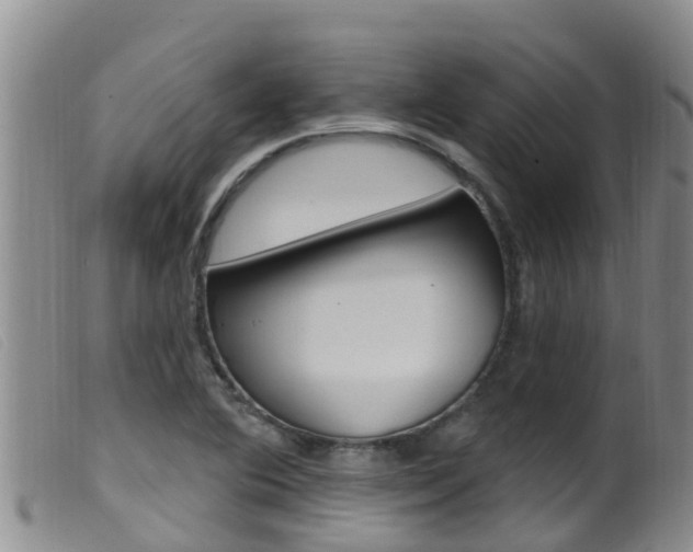 X0000099961364200805231016