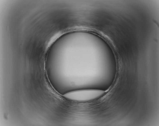 X0000099961365200805231016