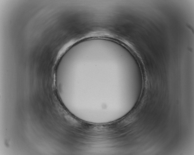 X0000099961366200805231016