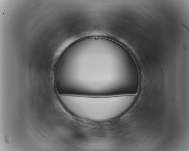 X0000099961367200805231016