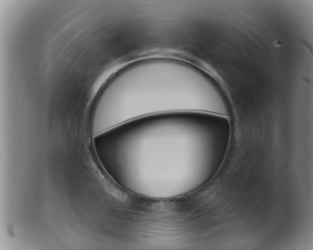 X0000099961368200805231016