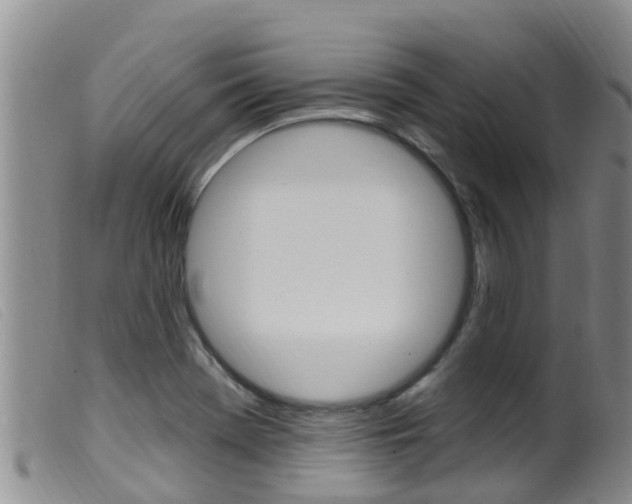 X0000099961369200805231016