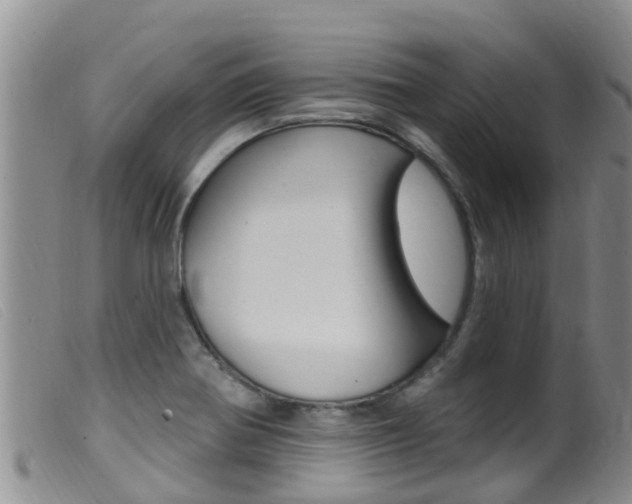X0000099961370200805231016