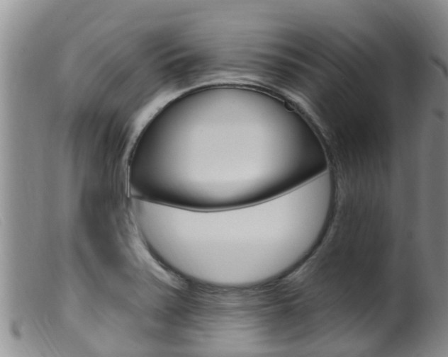 X0000099961371200805231016