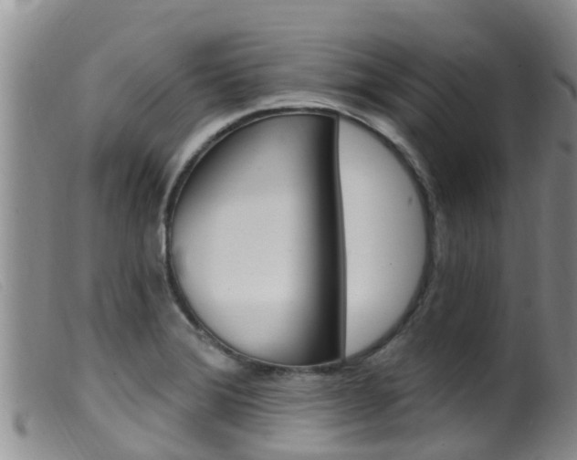 X0000099961372200805231016