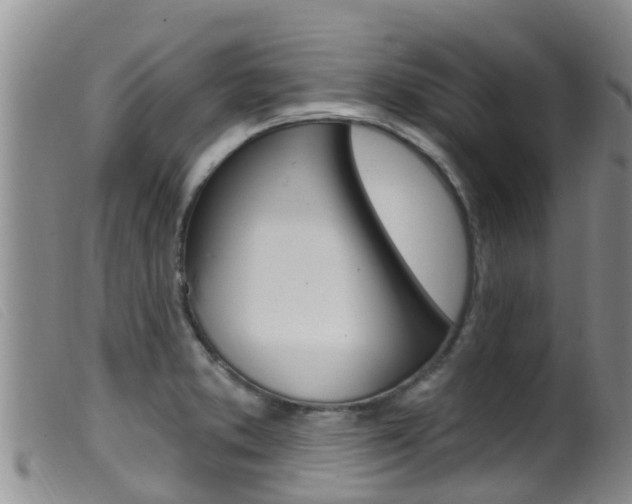 X0000099961373200805231016
