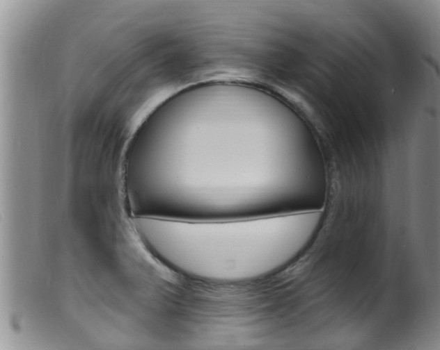 X0000099961375200805231016