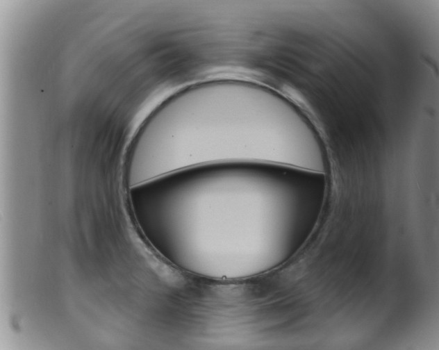 X0000099961376200805231016