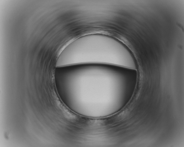 X0000099961377200805231016