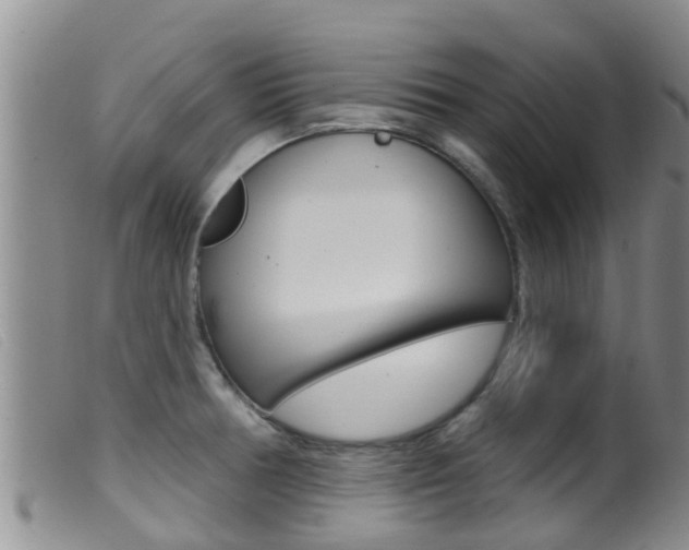 X0000099961378200805231016