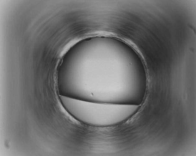 X0000099961381200805231016