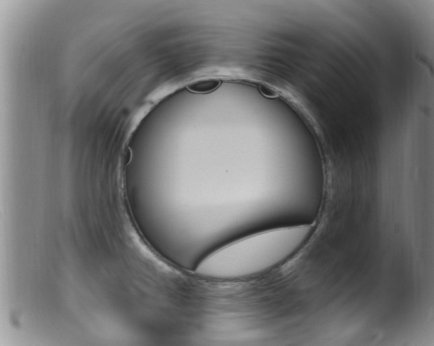 X0000099961382200805231016