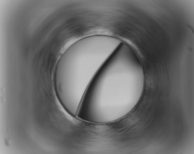 X0000099961383200805231016