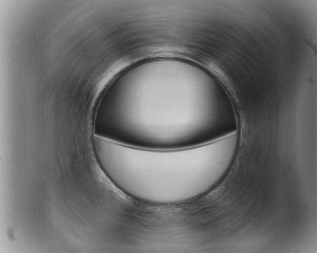 X0000099961384200805231016