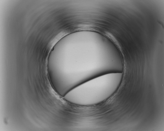 X0000099961386200805231016