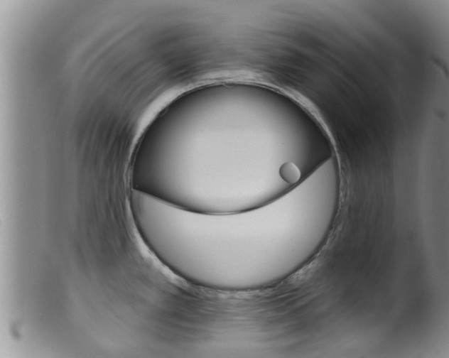 X0000099961389200805231015
