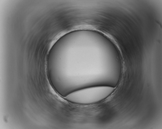 X0000099961390200805231015