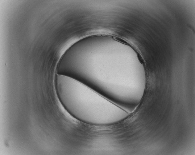 X0000099961391200805231015