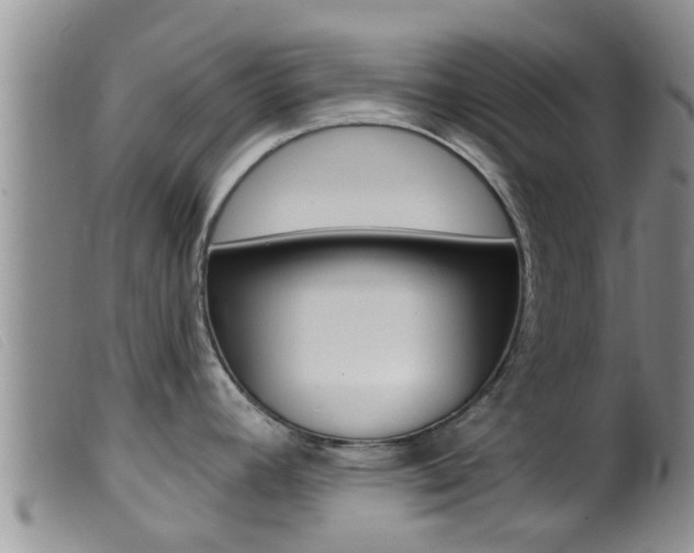 X0000099961392200805231015
