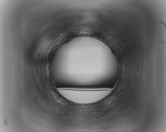 X0000099961394200805231015