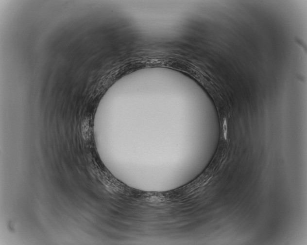 X0000099961395200805231015