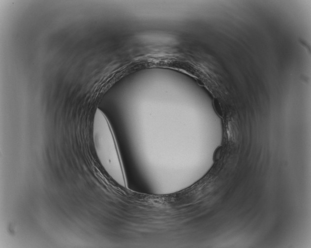 X0000099961396200805231015
