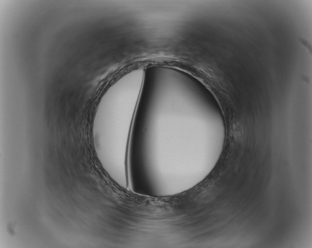 X0000099961398200805231015