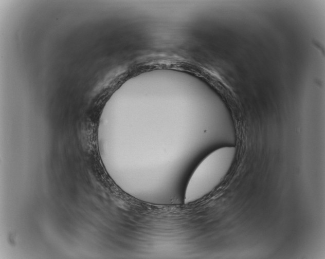 X0000099961399200805231015