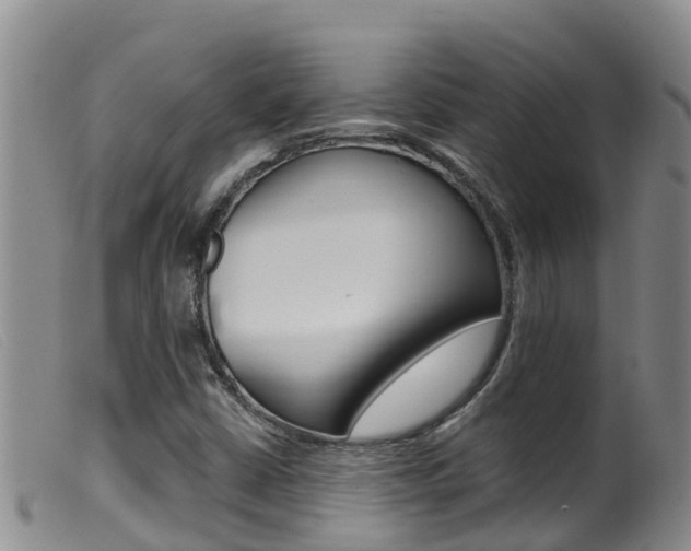 X0000099961402200805231015