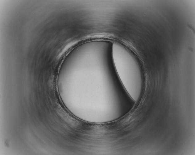 X0000099961404200805231015
