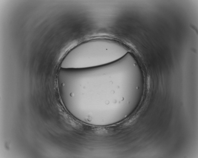 X0000099961405200805231015