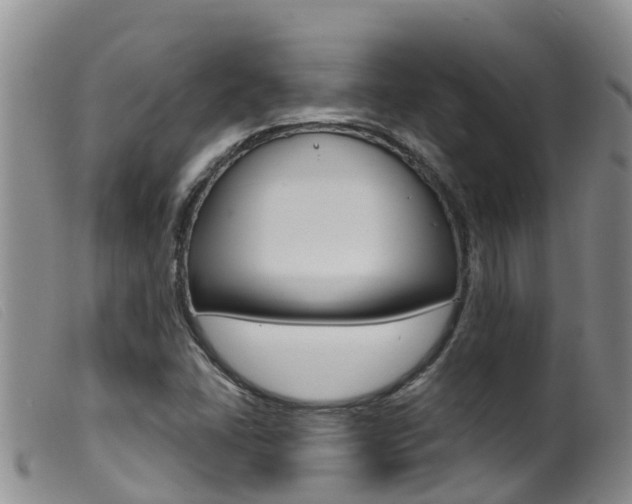 X0000099961406200805231015