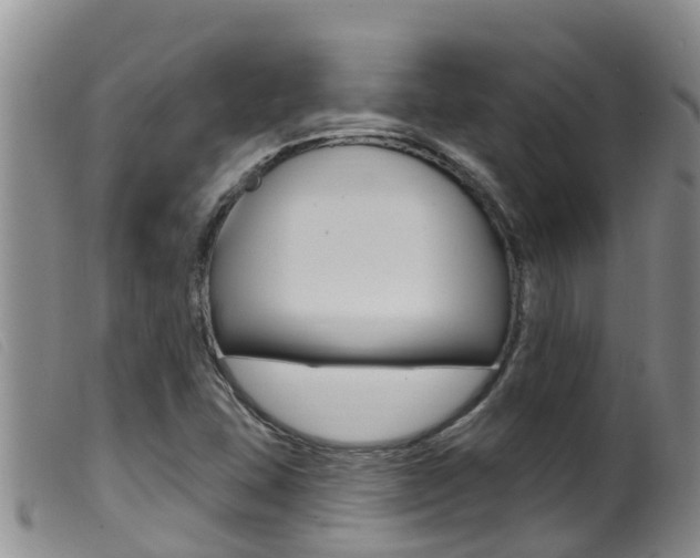 X0000099961407200805231015