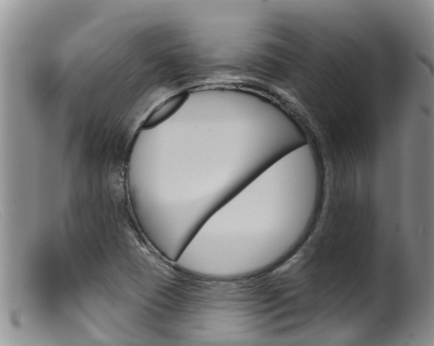 X0000099961409200805231015