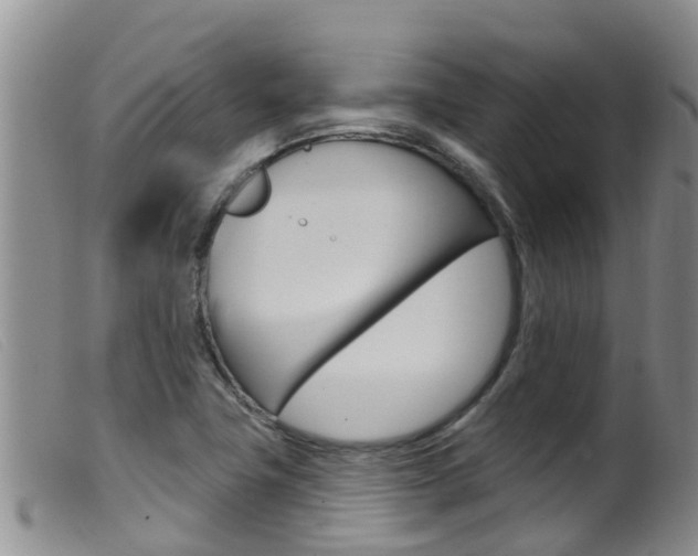 X0000099961411200805231015
