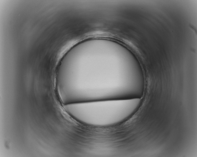 X0000099961413200805231015