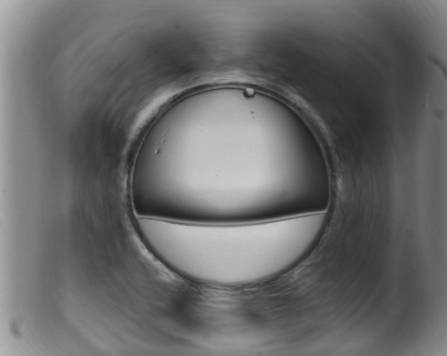 X0000099961416200805231015