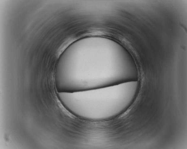 X0000099961417200805231015