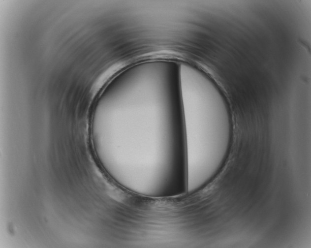X0000099961418200805231015
