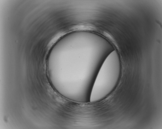 X0000099961419200805231015