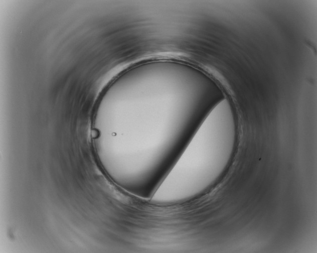 X0000099961420200805231015