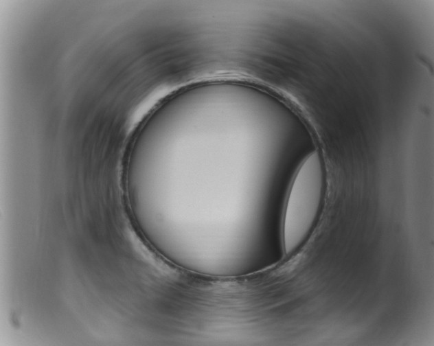 X0000099961422200805231015