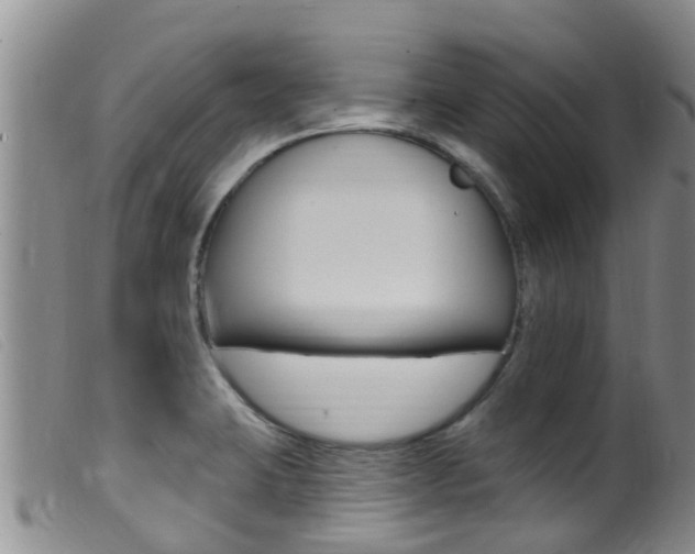 X0000099961423200805231015